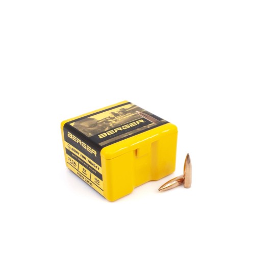 22_Caliber_73_Grain_BT_Target.jpg